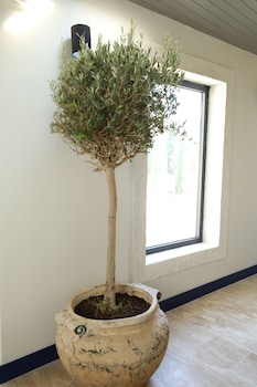 ariel hotel alacati