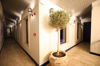 ariel hotel alacati