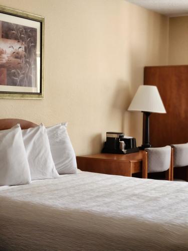 luxury inn and suites