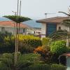 cesme holiday homes