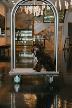 loews hotel 1000 seattle