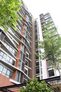 bell suites by moka