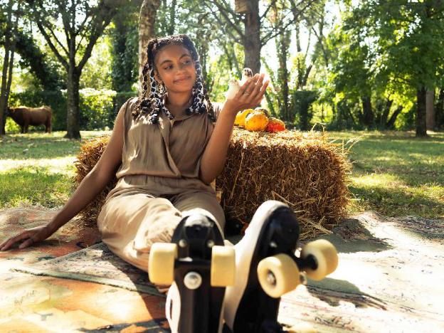 greet lille flandres