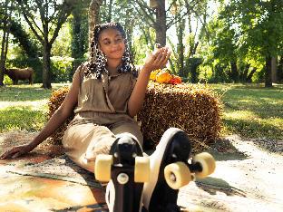 greet lille flandres