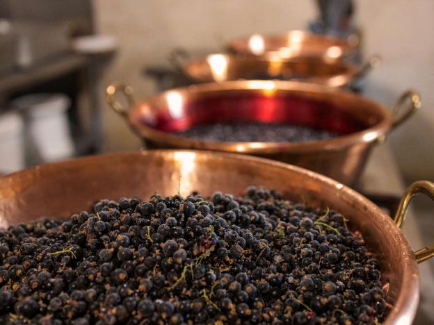 greet lille flandres