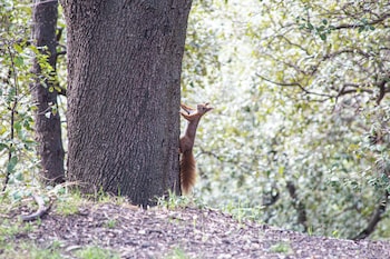 kyriad cannes mandelieu