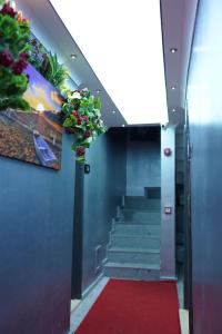middle village suit hotel