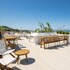 palm suites