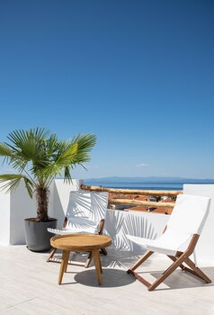 palm suites