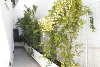 palm suites