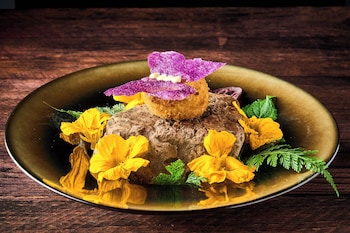 hotel ficus sunset suites