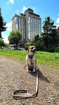 crowne plaza dusseldorf neuss by ihg