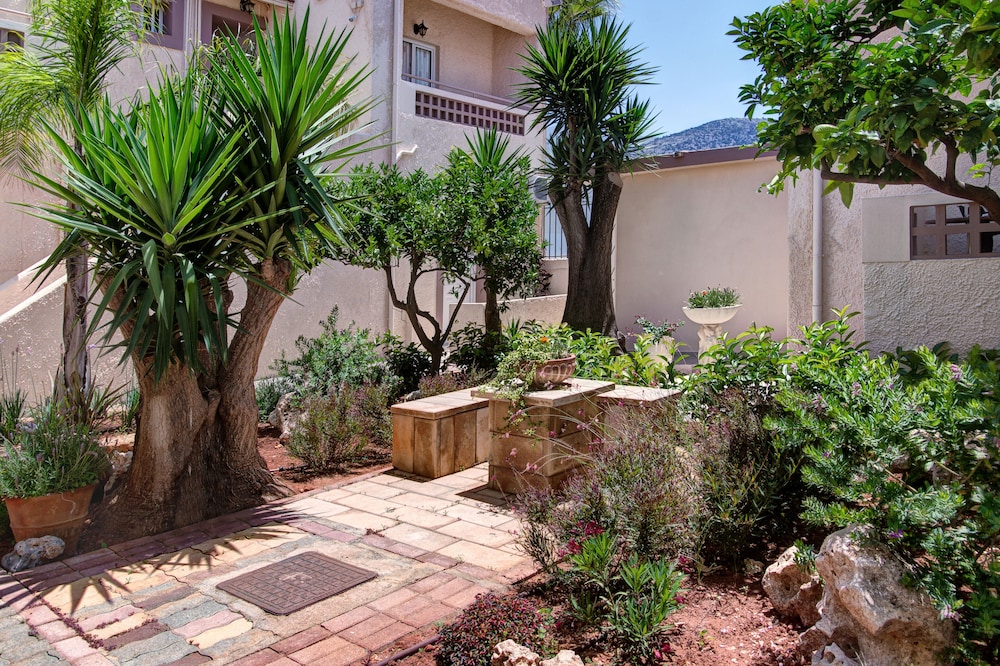 le palme