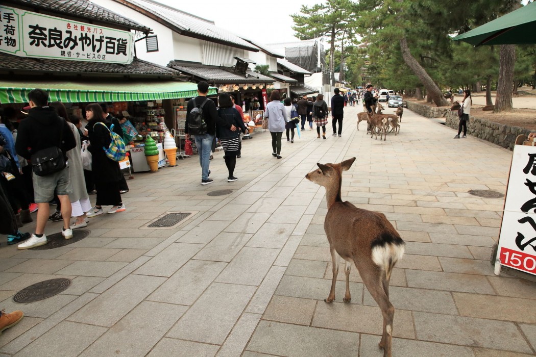 bakery hotel chateau dor