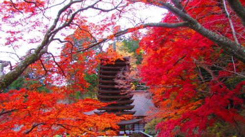 bakery hotel chateau dor
