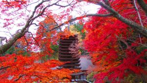 bakery hotel chateau dor