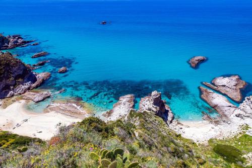 tropea