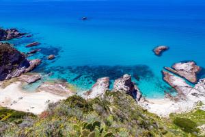 tropea