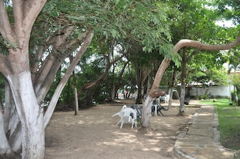 barreirinhas