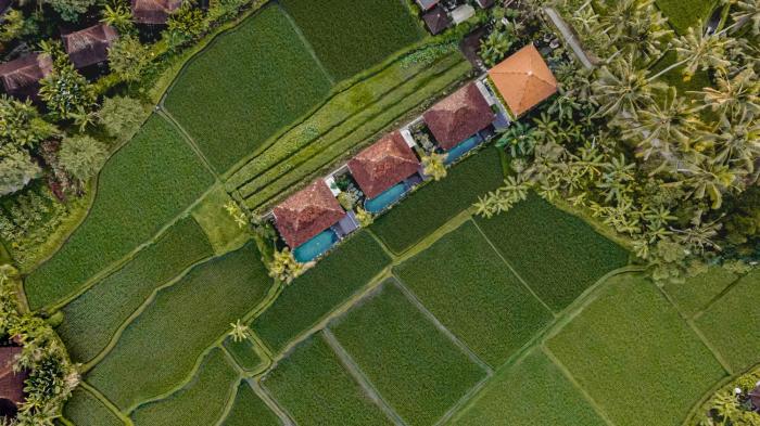 airsania ubud antique villas