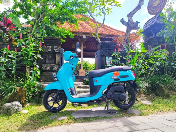 airsania ubud antique villas