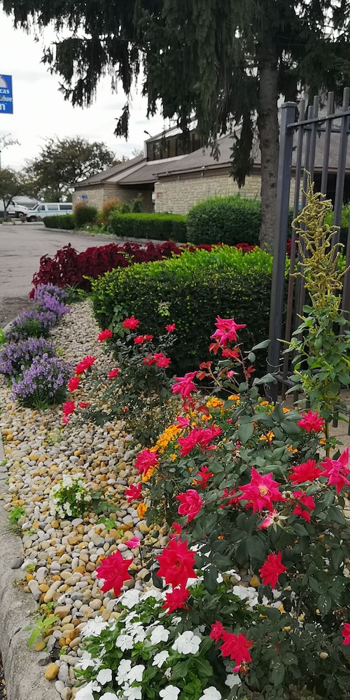 american value inn
