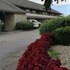 american value inn