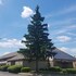 american value inn