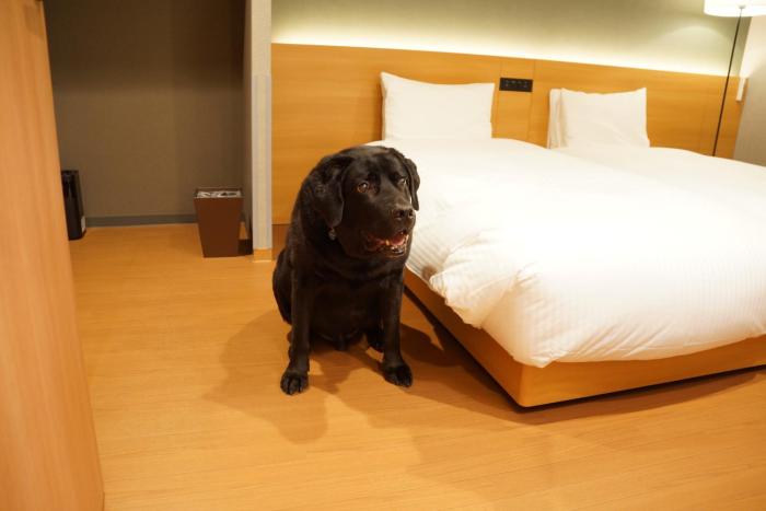 mimaru suites tokyo asakusa