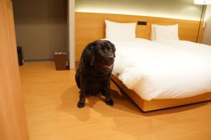 mimaru suites tokyo asakusa