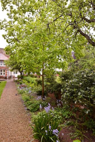 linton lodge hotel bw signature collection