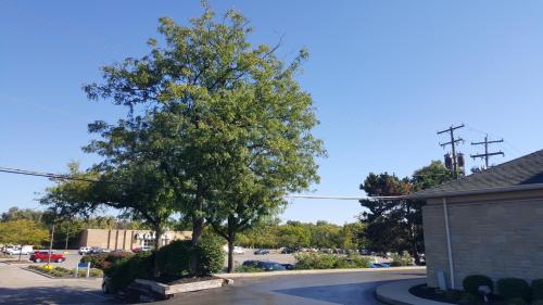 motel 6 columbus oh osu