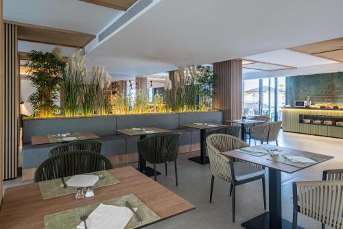 thb bamboo alcudia hotel