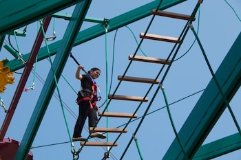 moody gardens hotel spa and convention center