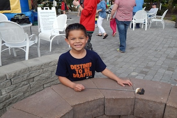 moody gardens hotel spa and convention center