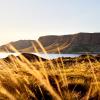 discovery resorts lake argyle