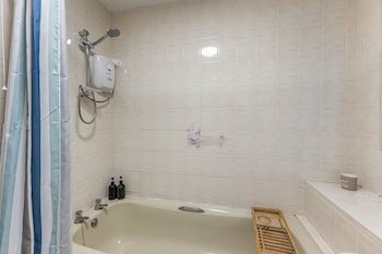 central apartment 3b