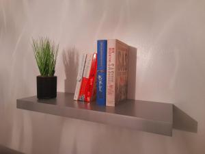 stockton on tees