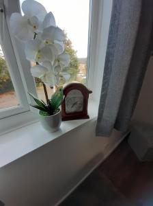 hardwick haven sedgefield near hardwick hall