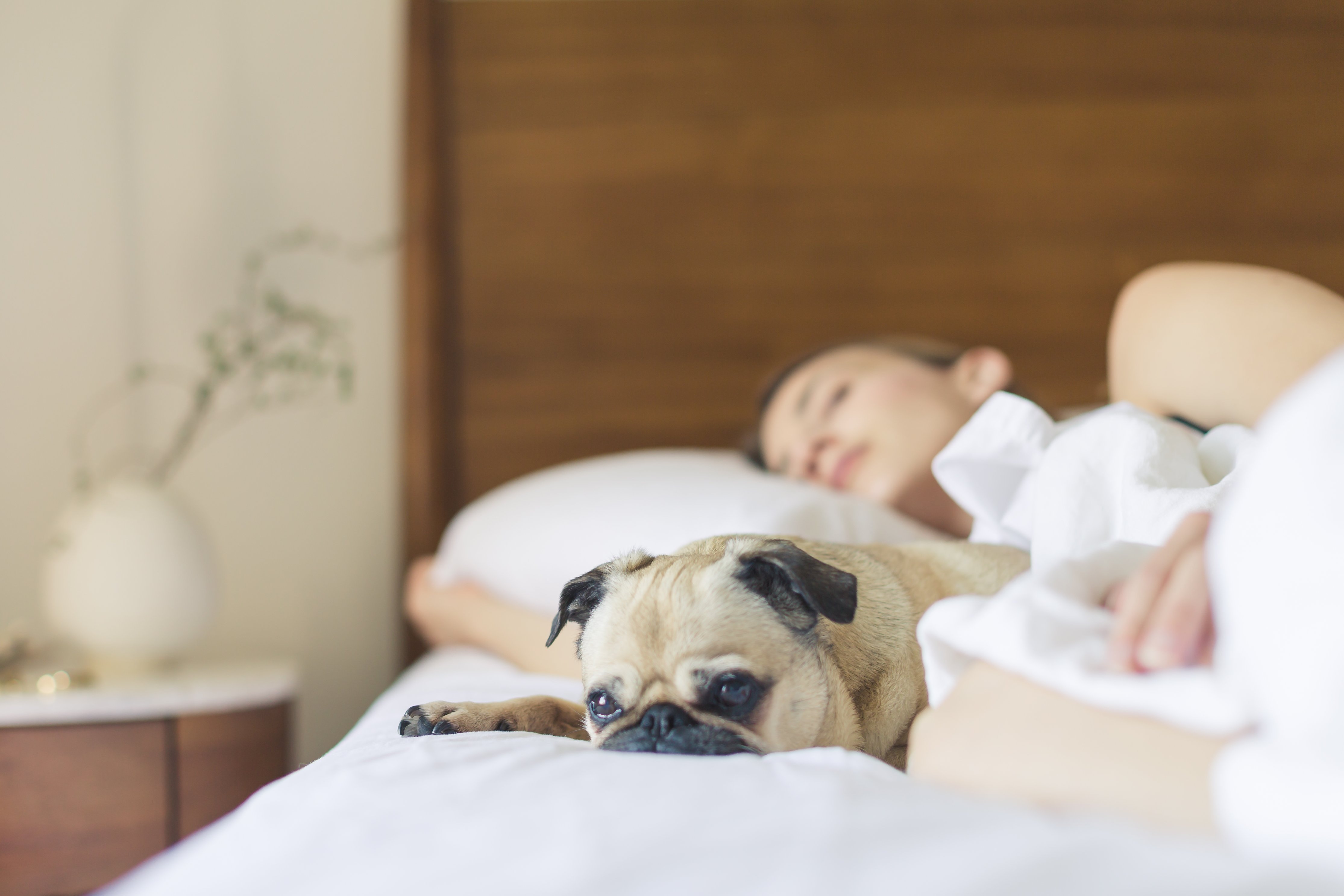 holiday inn express airport tucson by ihg