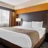 quality inn and suites bathurst