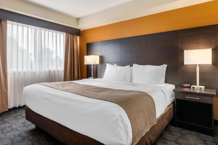 quality inn and suites bathurst
