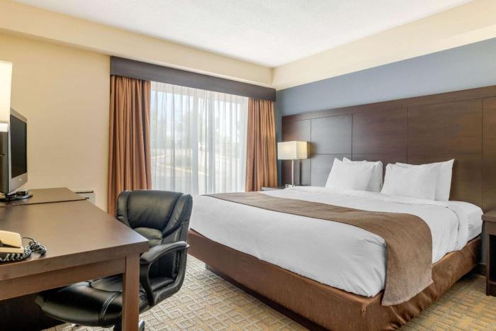 quality inn and suites bathurst