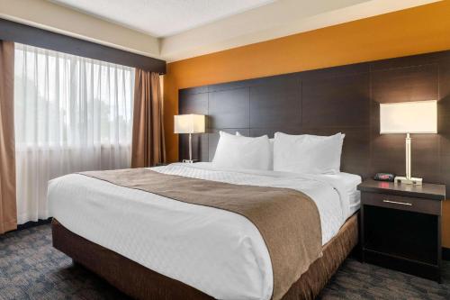 quality inn and suites bathurst
