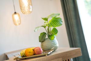 snooze apartments alling