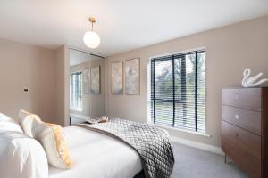 luxurious two bedroom apartment