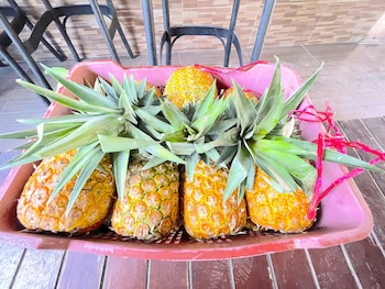 relax studios deluxe pool wifi beach