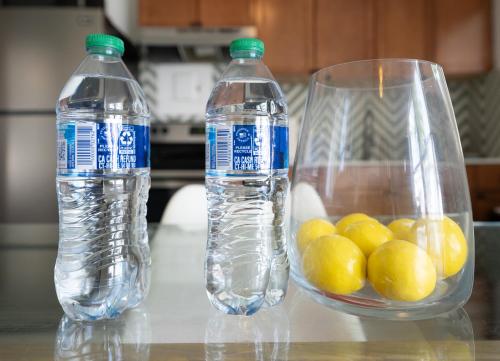 praia hotel boutique and apartments hollywood