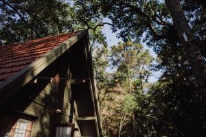 overo lodge and selva