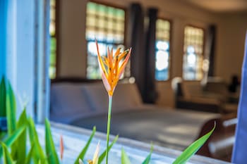 quill gardens estate